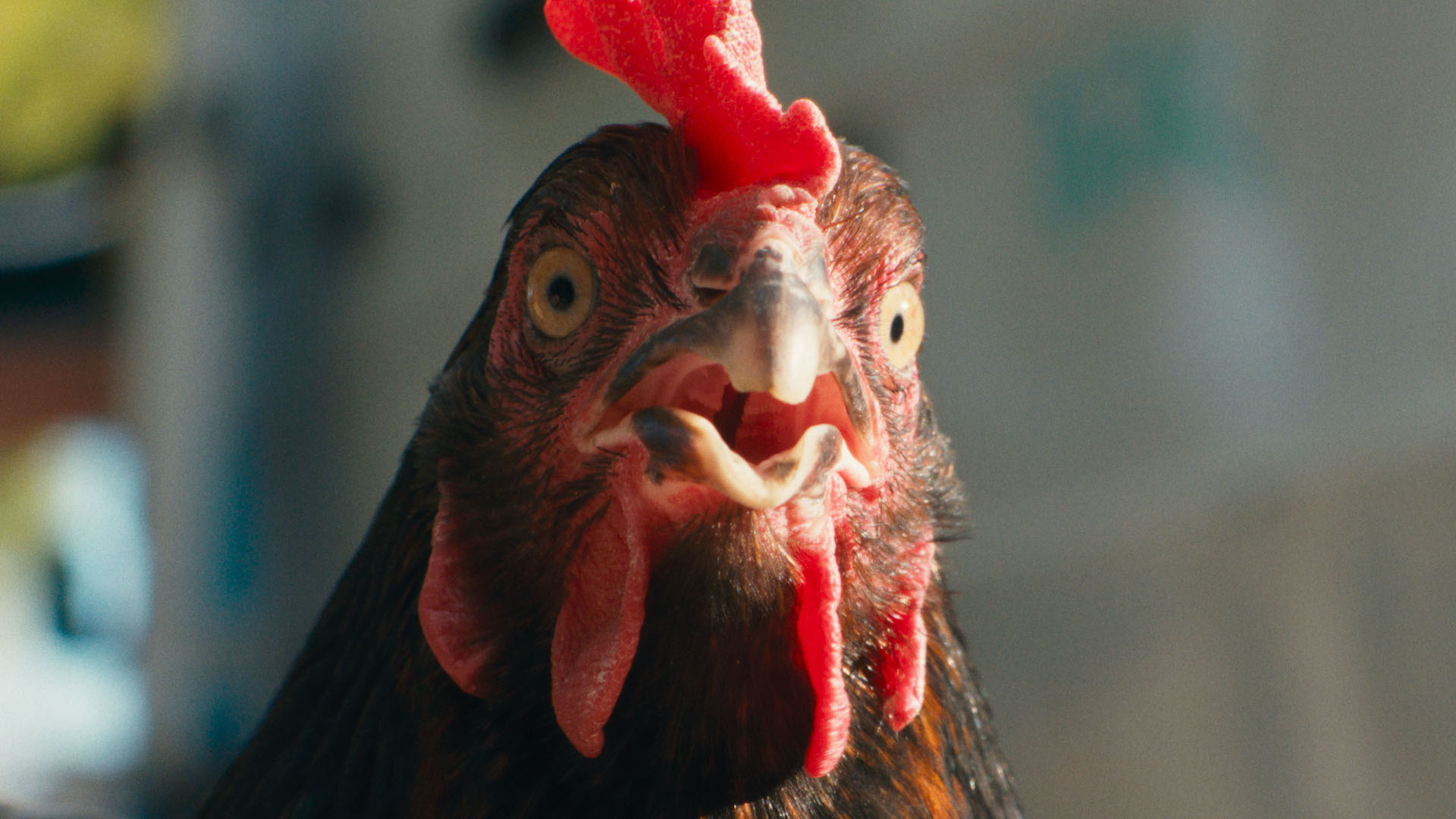 post thumbnail